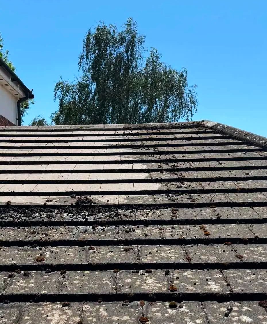 exterior cleaning Hampshire